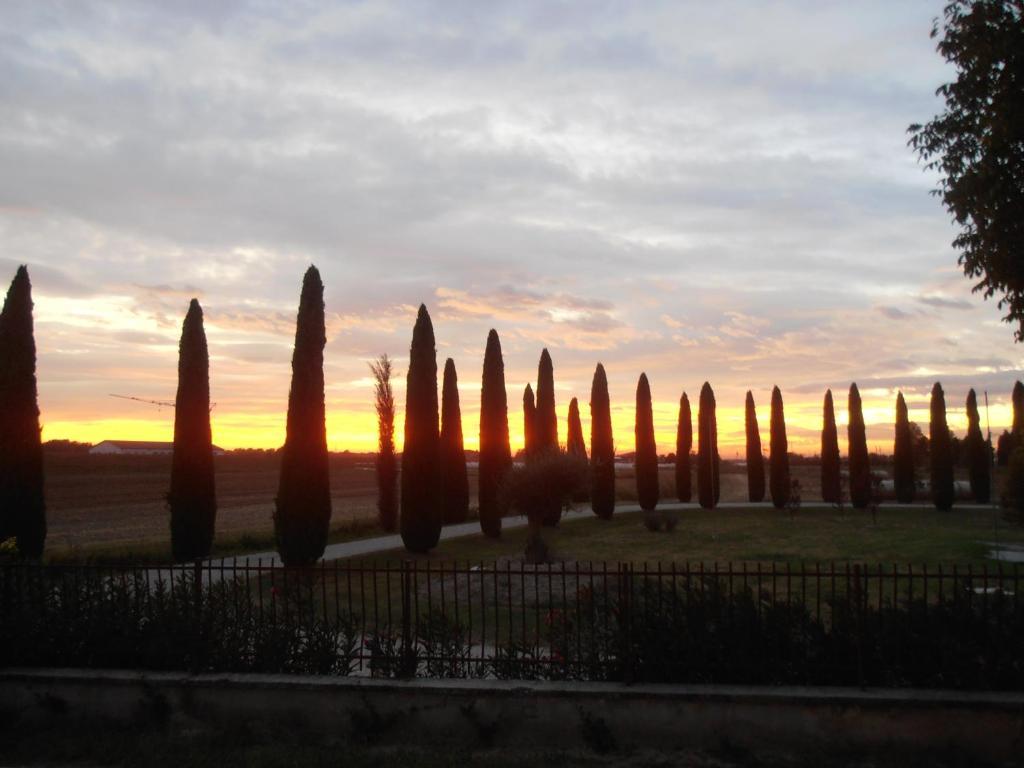 Bb Mambrotta Guest House San Martino Buon Albergo Luaran gambar